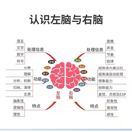 少年版提高记忆力